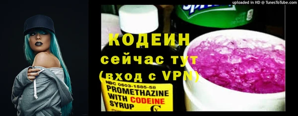 дмт Дмитриев