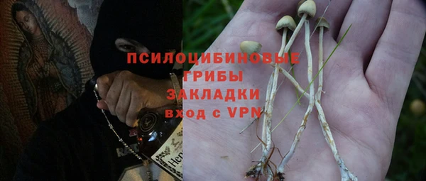 дмт Дмитриев