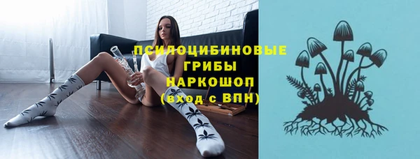 дмт Дмитриев