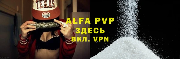 дмт Дмитриев