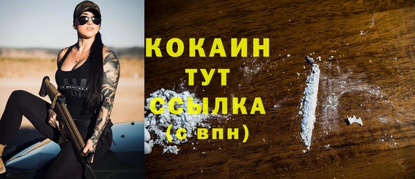 дмт Дмитриев