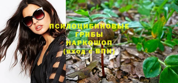 ешки Дмитровск
