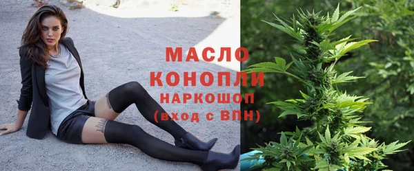 дмт Дмитриев