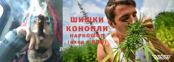 дмт Дмитриев