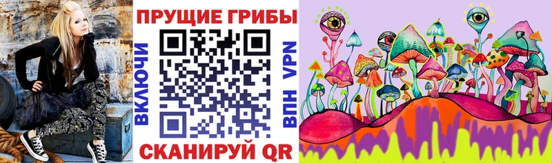 Купить где  Новопавловск  Псилоцибиновые грибы Magic Shrooms 