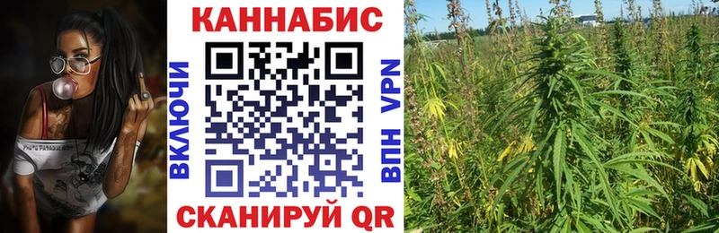 Бошки Шишки индика  Купить закладки  Новопавловск 